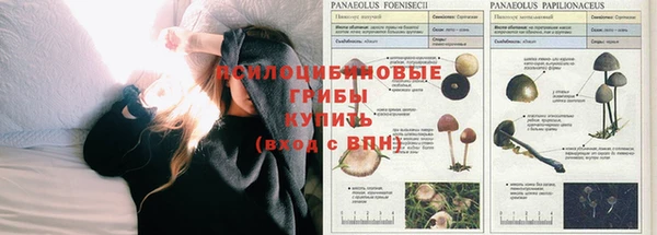 герыч Алексеевка