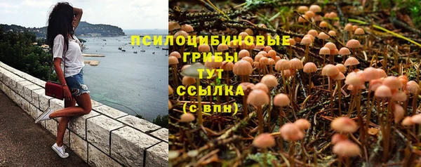 mdpv Алексин