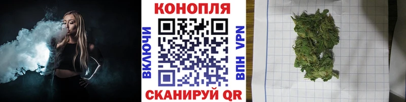 Конопля сатива  Южно-Сухокумск 